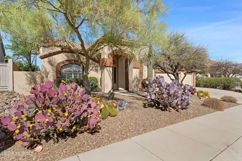 170 W Milbrae Springs Dr, Oro Valley, AZ 85755