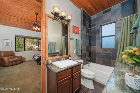 Bath - 11122 E Turkey Run Rd, Mount Lemmon, AZ 85619 photo 5 of 5