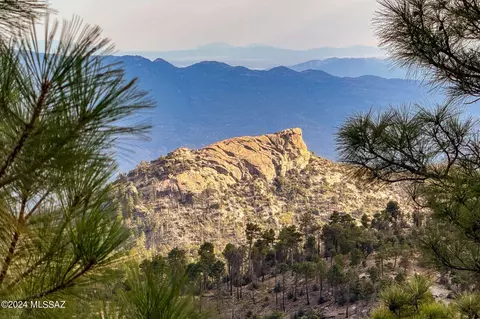 Other - 11122 E Turkey Run Rd, Mount Lemmon, AZ 85619 photo 11 of 11