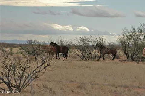 0 N Horvatin Ln, Mc Neal, AZ 85617