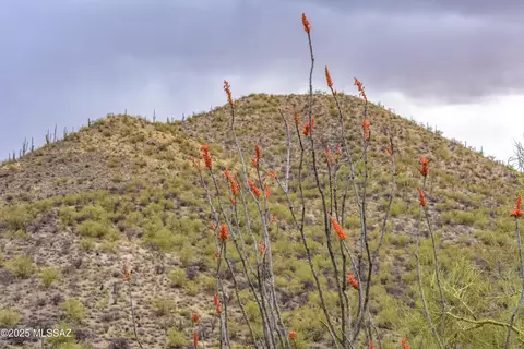 3025 W Placita Sierra Tortuga, Tucson, AZ 85745