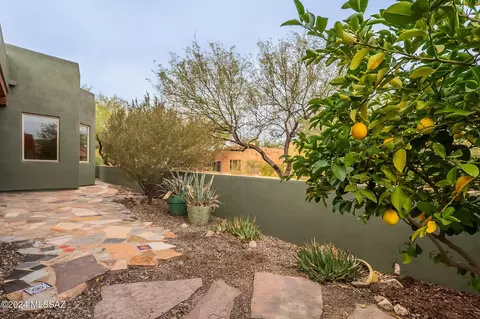 10541 Eisenbergs Pl, Tucson, AZ 85747 photo 38