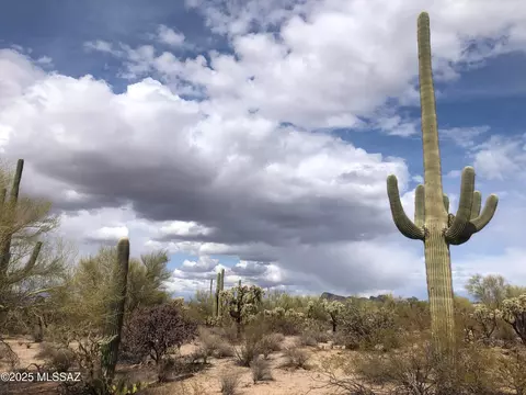 Nnn W Saguaro Park Lane, Tucson, AZ 85743