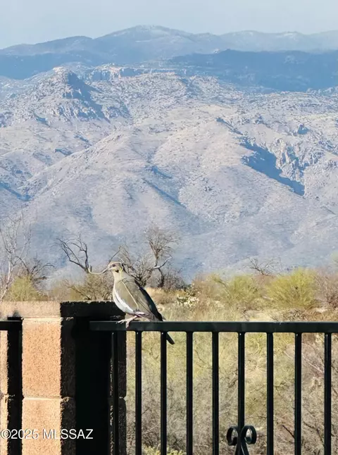 Other - 10017 Eric Alan Pl, Tucson, AZ 85748 photo 6 of 7