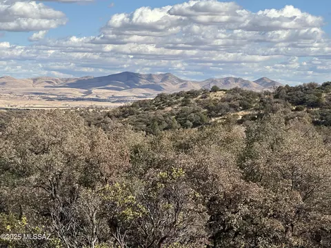Old Duquesne Road, Patagonia, AZ 85624