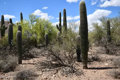 4840 N Avenida Corto, Tucson, AZ 85745