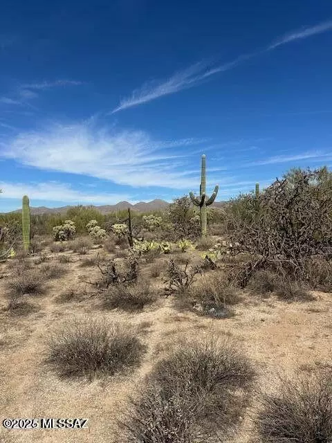 tbd W Camino De Manana, Tucson, AZ 85742