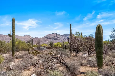 Other - 655 E Squirrel Tail Dr, Tucson, AZ 85704 photo 8 of 8