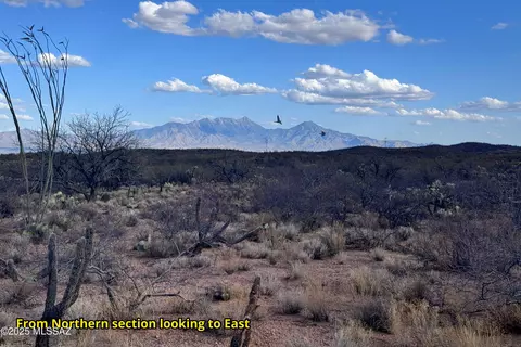6700 Dogtown Rd, Sahuarita, AZ 85629