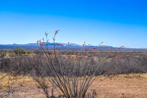 28422 S Foxwood Way, Amado, AZ 85645