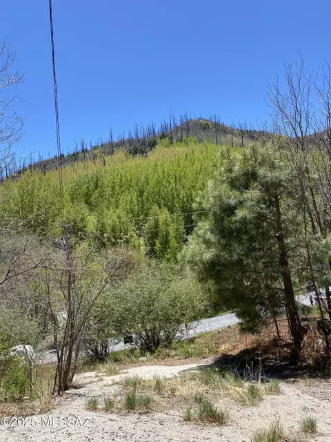 10991 E Carter Cyn #18, Mount Lemmon, AZ 85619 photo 8