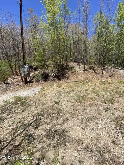 10991 E Carter Cyn #18, Mount Lemmon, AZ 85619 photo 6