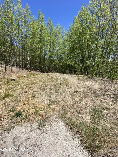 10991 E Carter Cyn #18, Mount Lemmon, AZ 85619 photo 5