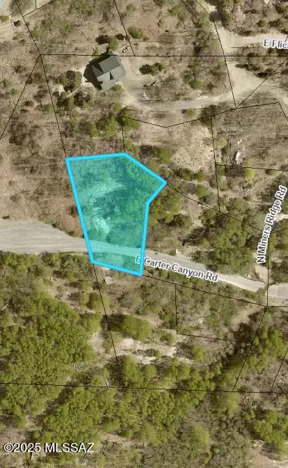 10991 E Carter Cyn #18, Mount Lemmon, AZ 85619 photo 2