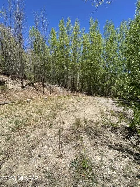 10991 E Carter Cyn #18, Mount Lemmon, AZ 85619 photo 7