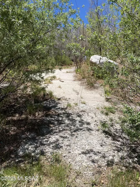 10991 E Carter Cyn #18, Mount Lemmon, AZ 85619 photo 3