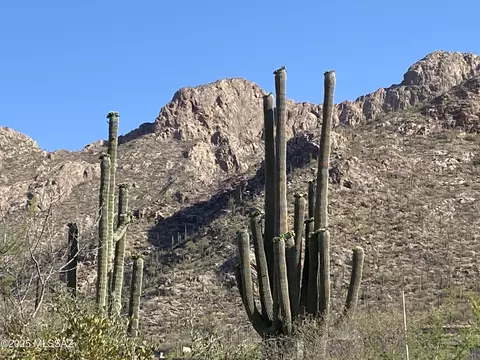 2134 E Desert Garden Dr, Tucson, AZ 85718