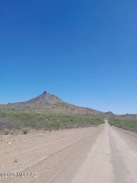 000 E Mulberry Dr, Douglas, AZ 85607