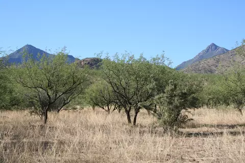 000 Bond Canyon Rd, Tubac, AZ 85646