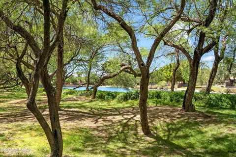 3061 N Willow Creek Dr, Tucson, AZ 85712 photo 43