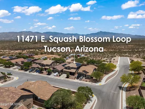 11471 E Squash Blossom Loop, Tucson, AZ 85747 photo 34