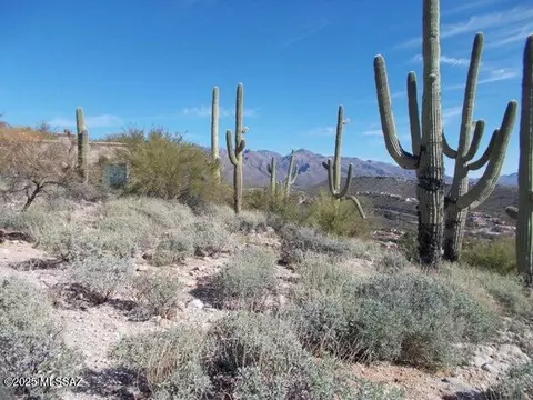 4130 N Painted Quail Pl, Tucson, AZ 85750