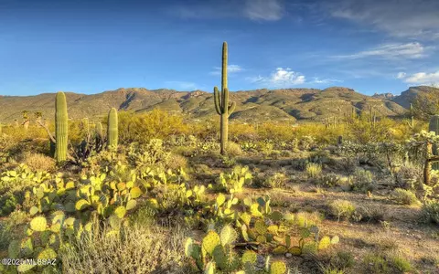 4503 N Larkspur Rd, Tucson, AZ 85749