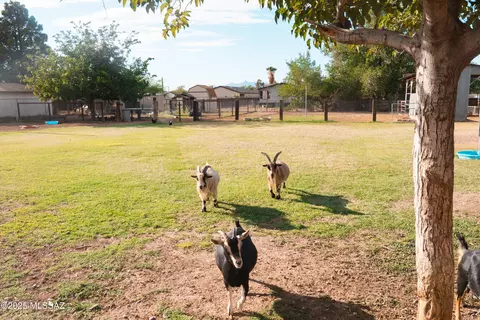 228 E 300 S, Pima, AZ 85543 photo 36