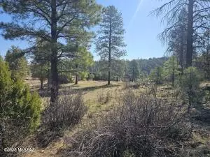 3326 Black Canyon Rd, Heber-overgaard, AZ 85933