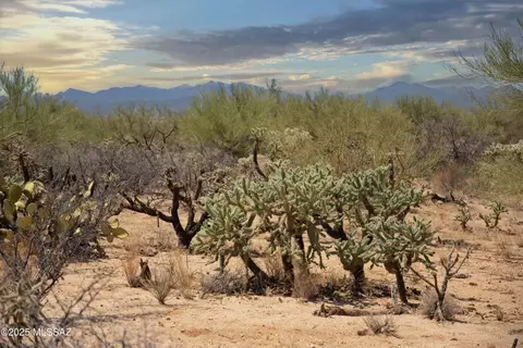 14943 W Parkin Ln, Tucson, AZ 85736