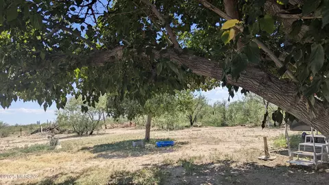 Exterior - 243 S Quail Dr, Willcox, AZ 85643 photo 7 of 7