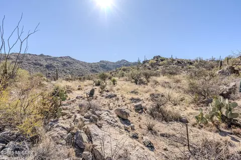 3821 W Cayton Mountain Dr #162, Marana, AZ 85658