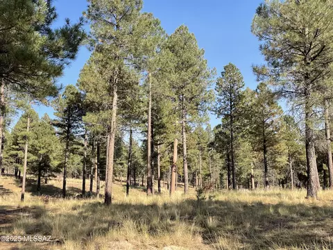 7337 Forest Road 122, Other, AZ 86024