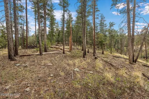 14 Co Rd 2074, Alpine, AZ 85920