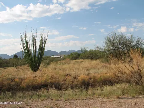 16415 S Shoshone Trl, Benson, AZ 85602