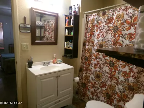 Bath - 386 N Curtis Ave, Willcox, AZ 85643 photo 1 of 2