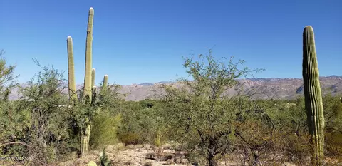 2930 N Lone Dove Trl, Tucson, AZ 85749