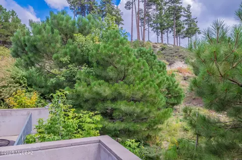Other - 11308 E Bisbee Ave, Mount Lemmon, AZ 85619 photo 12 of 12
