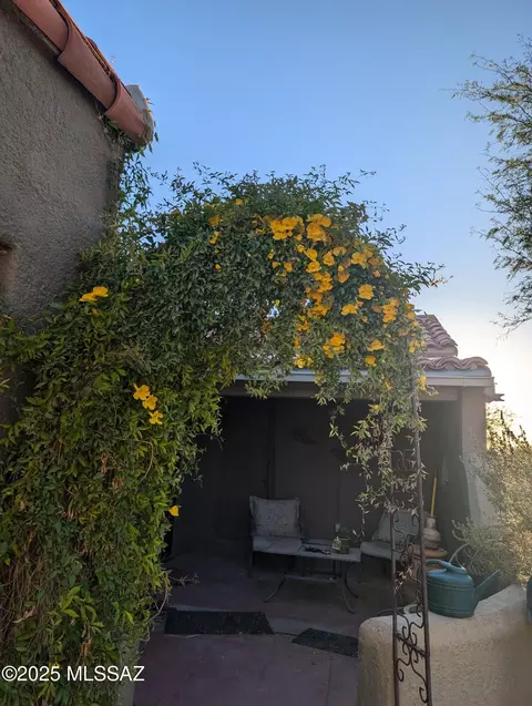 Exterior - 2116 E 8th St, Tucson, AZ 85719 photo 2 of 6