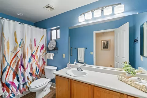Bath - 14067 E Fairway Bluff Ct, Vail, AZ 85641 photo 3 of 4