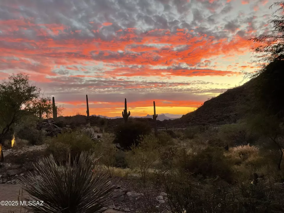 Other - 13971 N Jims Deadend Pl, Marana, AZ 85658 photo 9 of 12