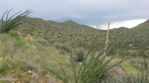 S Goodenough Trail, Vail, AZ 85641 photo 6