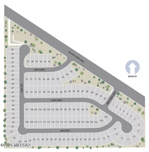 12583 E Remi Dr, Vail, AZ 85641 photo 9