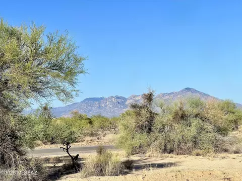 15946 W Diamond Bell Ranch Rd, Tucson, AZ 85736