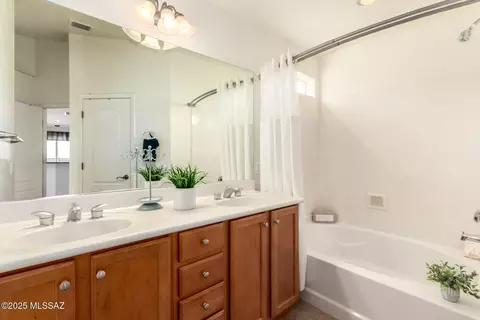 Bath - 10562 E Bonpland Willow Dr, Tucson, AZ 85747 photo 1 of 2