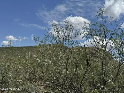 40 Acres Get Lost Rd, Douglas, AZ 85607 photo 26