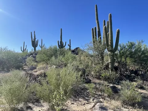 1364 W Tortolita Mountain Cir, Oro Valley, AZ 85755