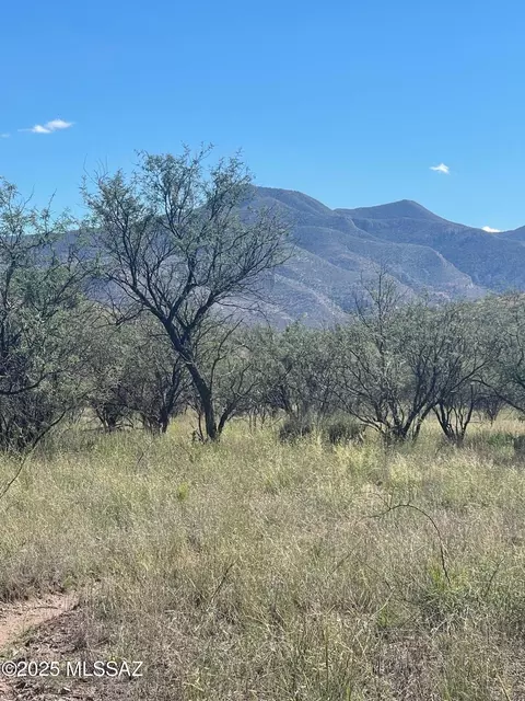 106 Tanglehead Ln, Patagonia, AZ 85624