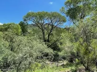 60 Harshaw Creek Rd, Patagonia, AZ 85624