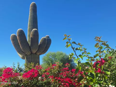 Other - 3673 W Thundercloud Loop, Tucson, AZ 85742 photo 11 of 14